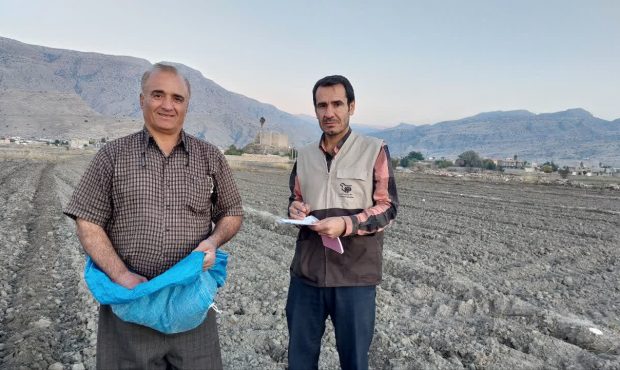 کاشت 12 رقم جدید بذر گندم آبی گرمسیری در شهرستان چرام